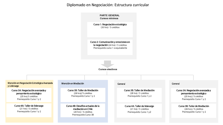 Esquema estructura curricular