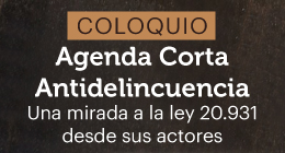 Coloquio: Agenda Corta Antidelincuencia. Una mirada a la ley 20.931 desde sus actores