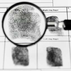Criminología