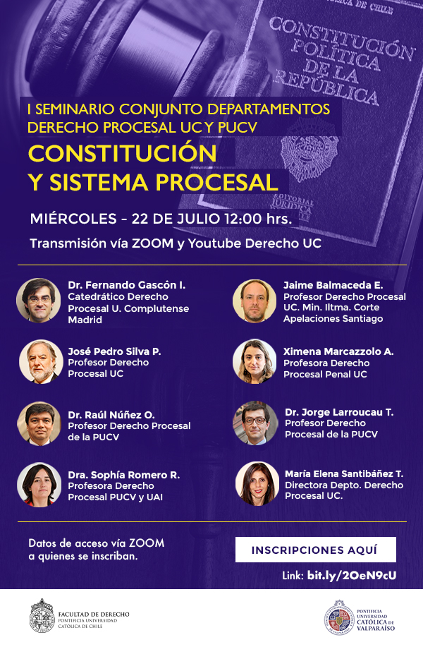 Seminario Constitución y Sistema Procesal