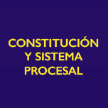 Seminario Constitución y Sistema Procesal