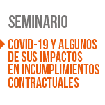 Seminario: Covid-19 y algunos de sus impactos en incumplimientos contractuales