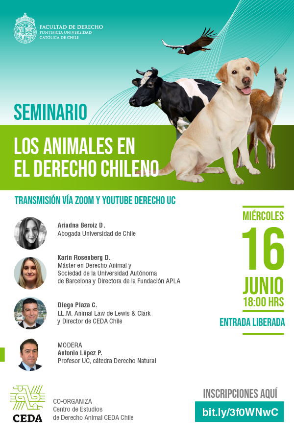 seminario los animales en el derecho chileno Mesa de trabajo 1