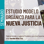 Seminario: Estudio Modelo Orgánico para la Nueva Justicia 