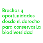 Coloquio Virtual: Brechas y Oportunidades desde el Derecho para Conservar la Biodiversidad
