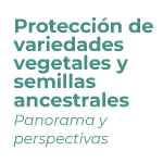 Protección de variedades vegetales y semillas ancestrales. Panorama y perspectivas